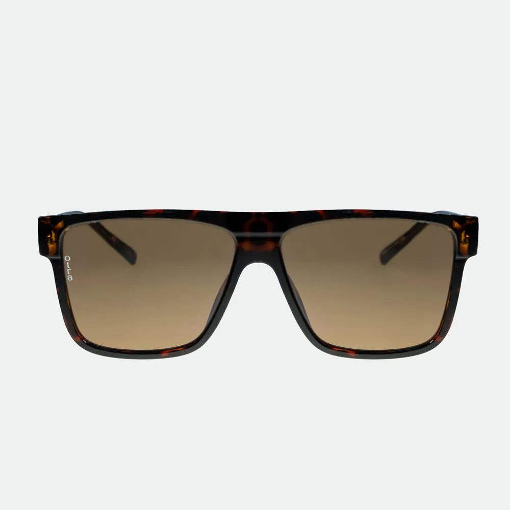 AMOS TORTOISE BROWN SUNGLASSES