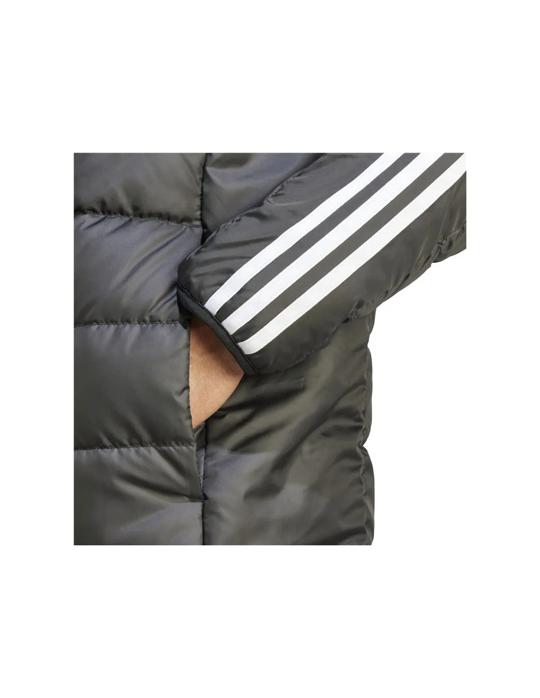 Chaqueta adidas Essentials 3S D H Pa Hombre