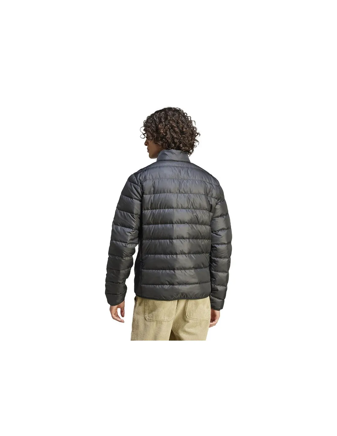 Chaqueta adidas Essentials Lite Down Hombre