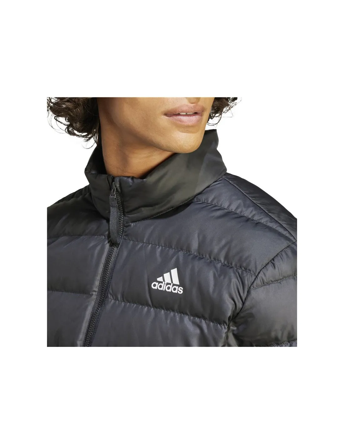 Chaqueta adidas Essentials Lite Down Hombre