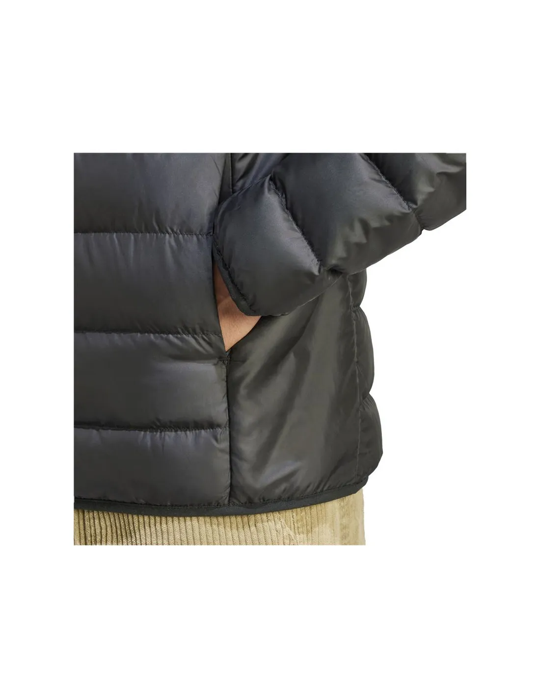 Chaqueta adidas Essentials Lite Down Hombre