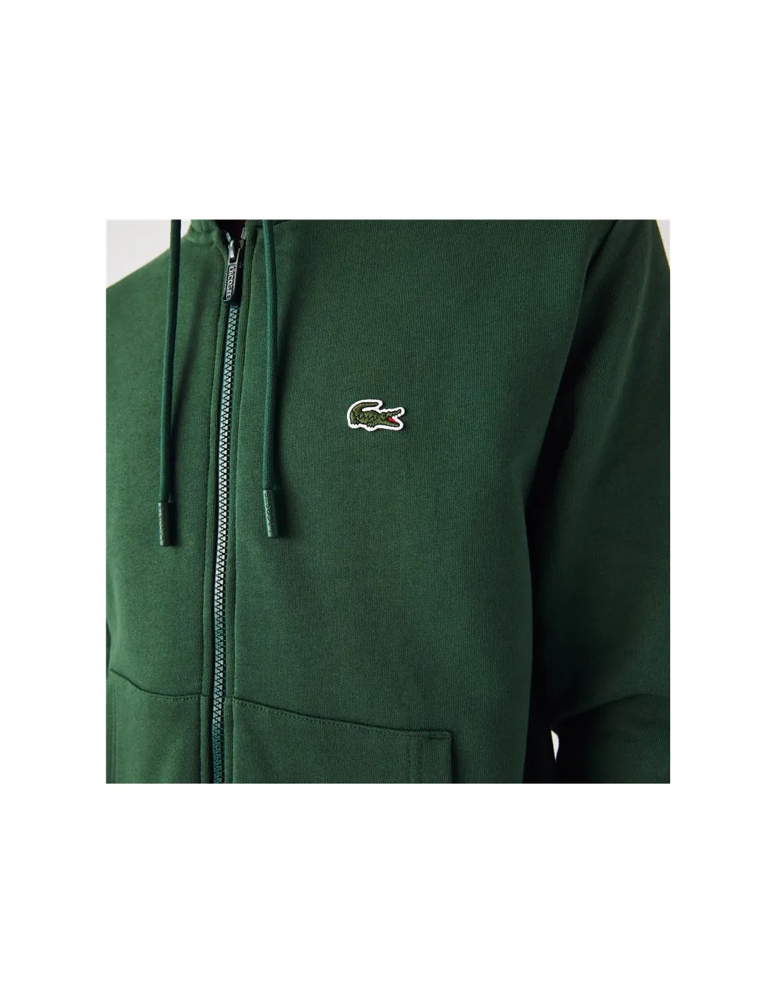 Chaqueta con capucha Lacoste Hombre Verde