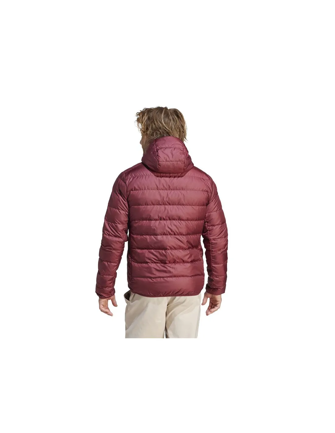 Chaqueta de Montaña adidas Multi Down Hombre