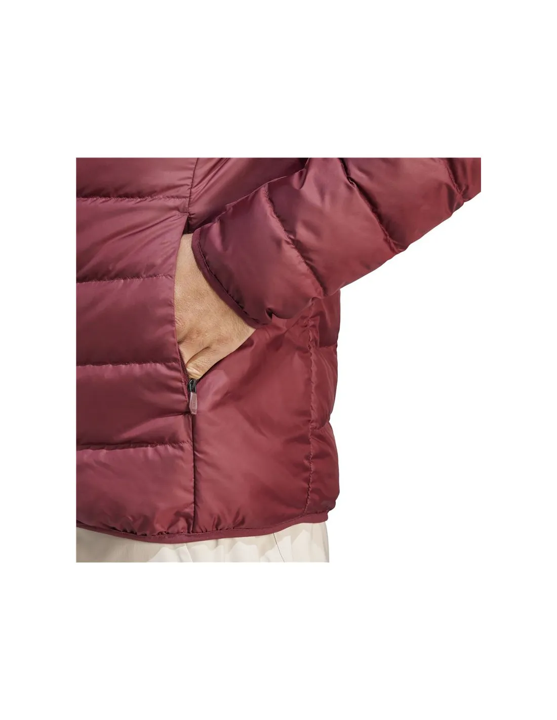 Chaqueta de Montaña adidas Multi Down Hombre