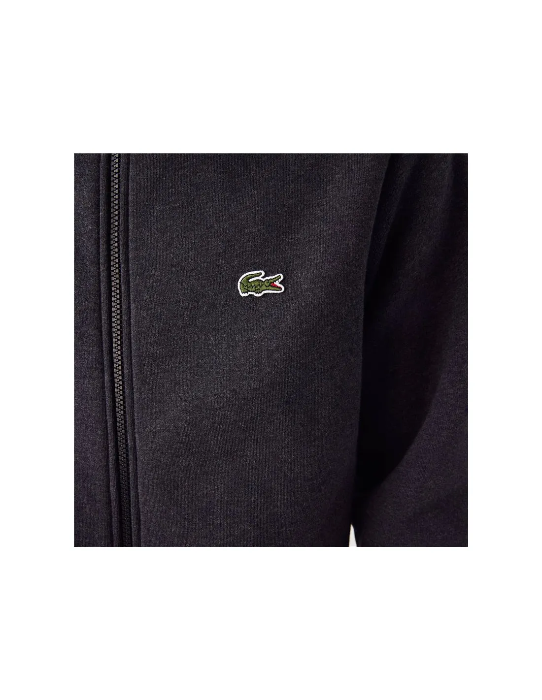 Chaqueta Lacoste Regular Fit Felpa Hombre Gris