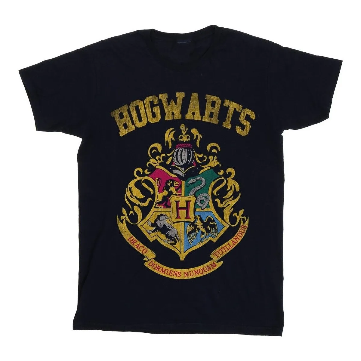 Hogwarts Varsity