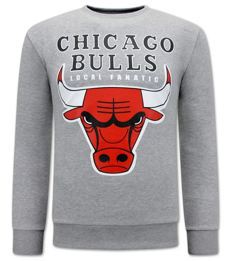JERSEY CHICAGO BULLS HOMBRE  GRIS