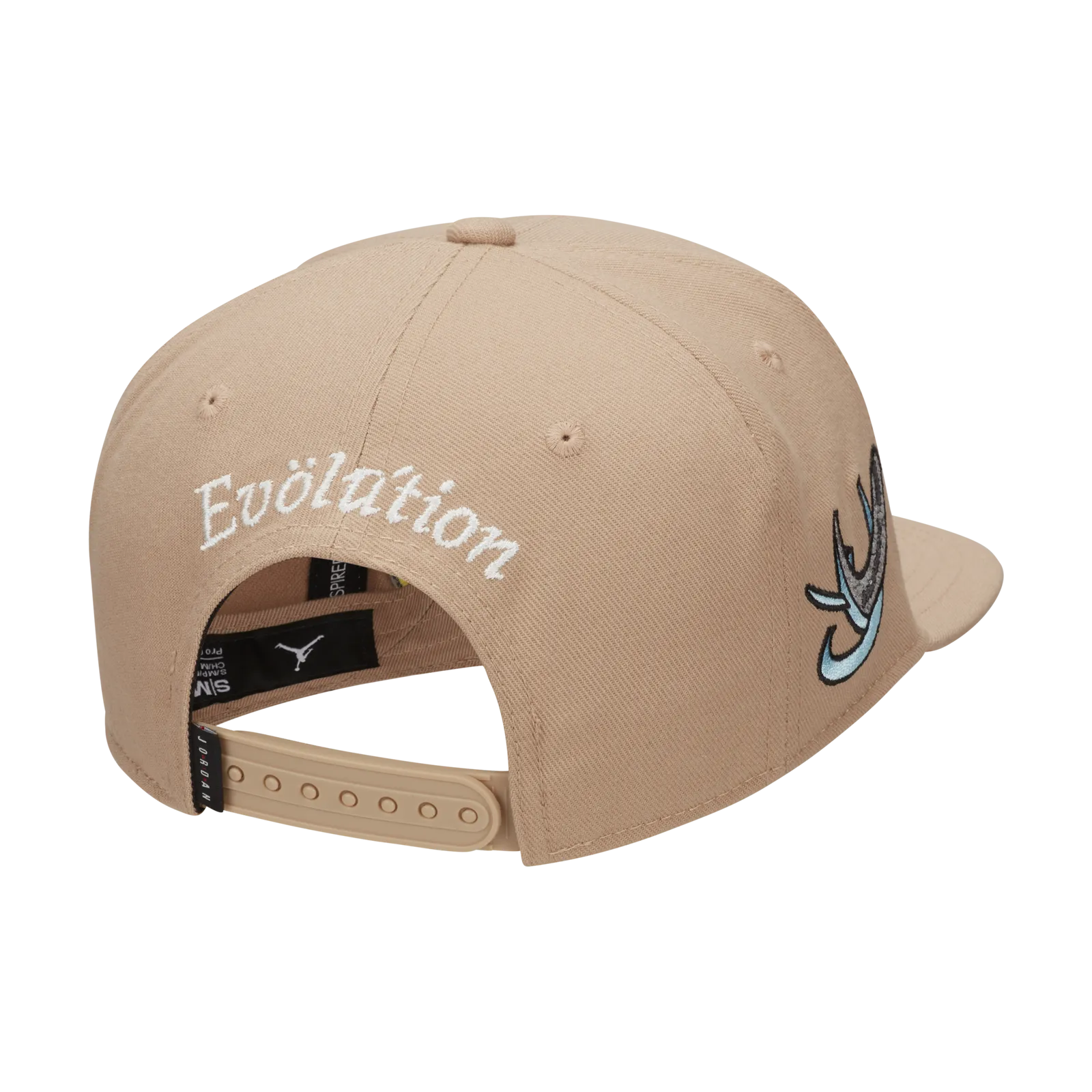 Jordan Pro Cap