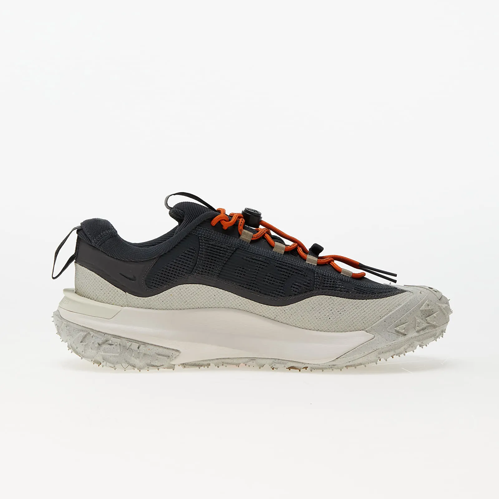Nike ACG Mountain Fly 2 Low GTX