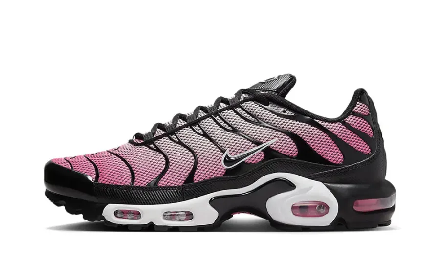 Nike Air Max Plus 'All Day'