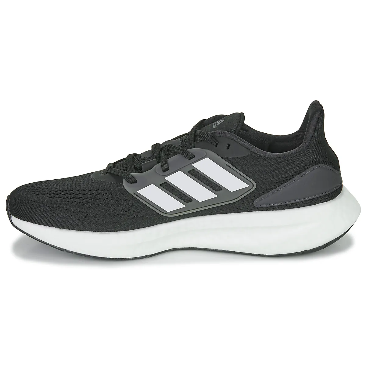 PUREBOOST 22