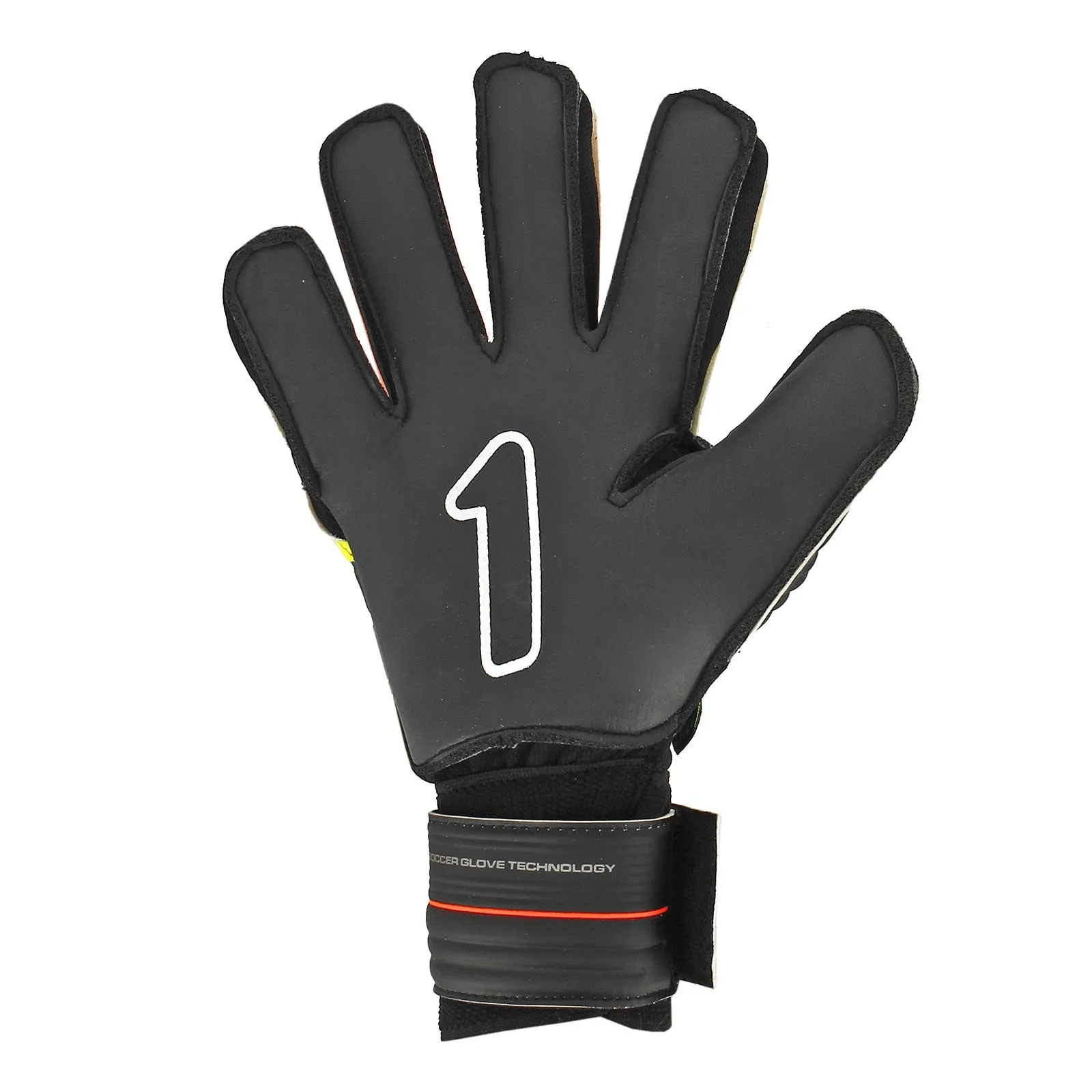 Rinat Kancerbero Invictus Basico