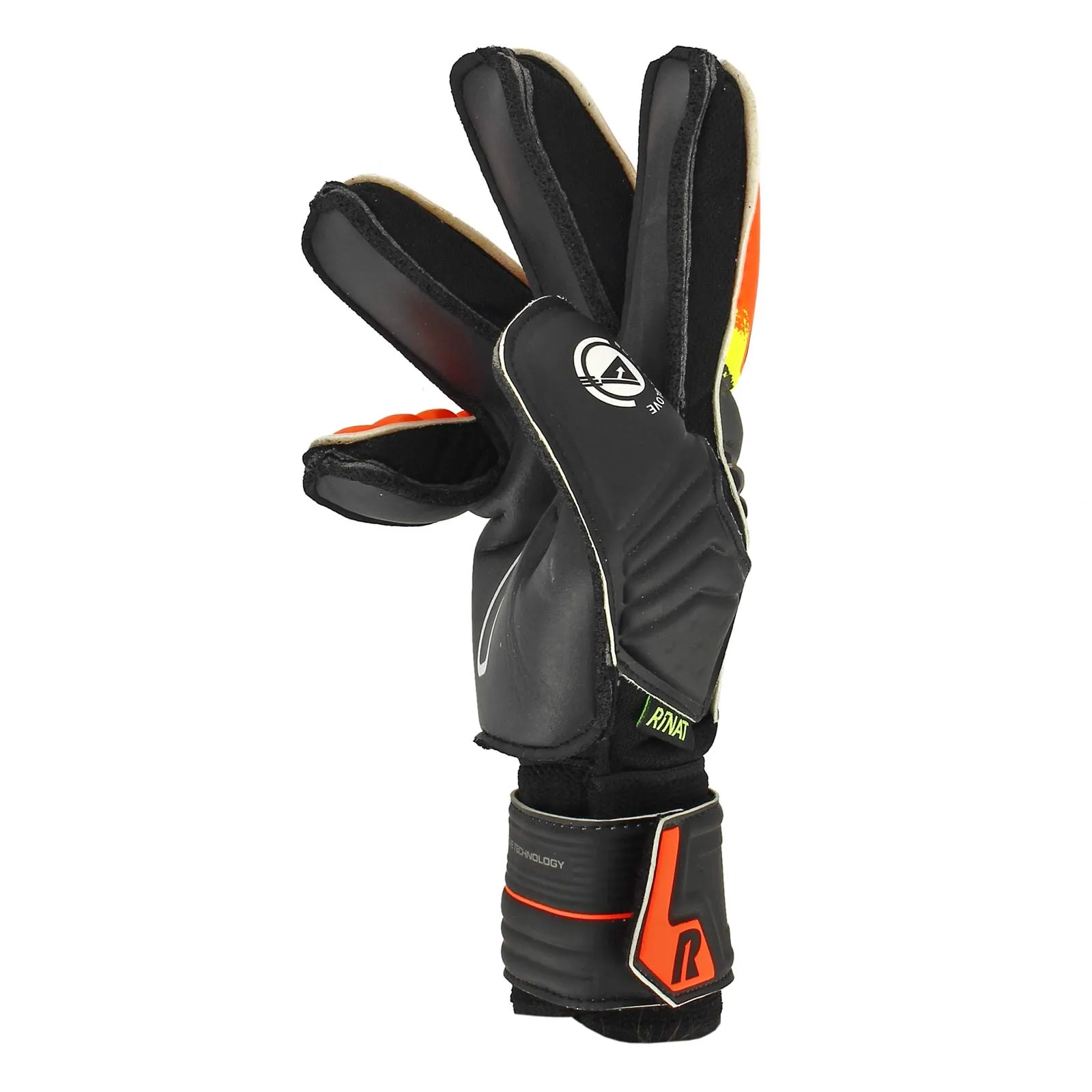 Rinat Kancerbero Invictus Basico