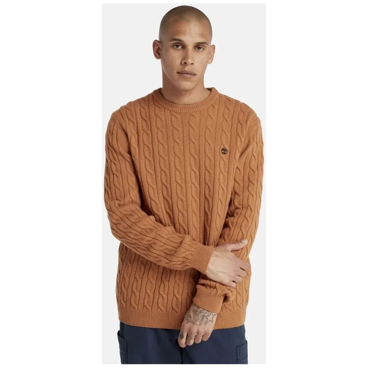 TB0A2CEQK431  LAMBSWOOL CABLETERRA